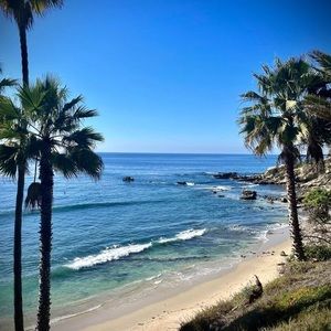 Meet your Posher, Em